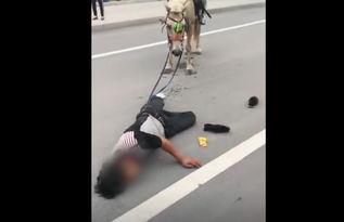 网红骑马爆料视频大全,精彩瞬间尽收眼底 第3张 网红骑马爆料视频大全,精彩瞬间尽收眼底 第3张